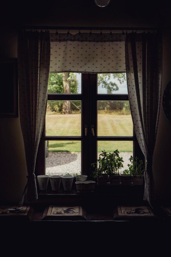 Miodunski Dworek Ryn  Exteriör bild